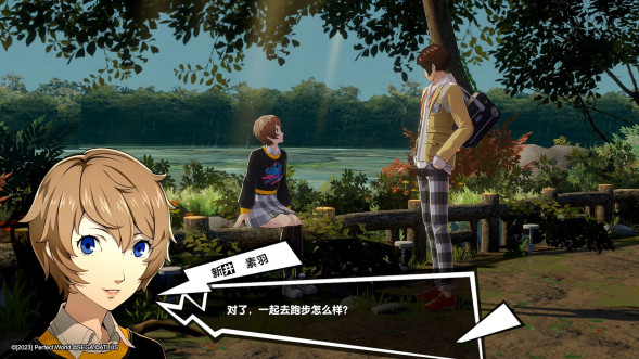 Persona 5 Royal [Nintendo Switch, английская версия] в Ульяновске