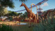 Игра Planet Zoo: Console Edition [PS5, английская версия] в Ульяновске
