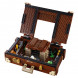 Конструктор LEGO Harry Potter 75952 Чемодан Ньюта Саламандера в Ульяновске