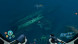Игра Subnautica: Below Zero [PS5, русские субтитры] в Ульяновске