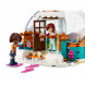 Конструктор LEGO Friends 41760 Праздничное приключение в иглу в Ульяновске