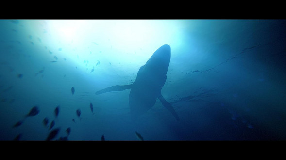 Игра Under The Waves [PS4, русские субтитры] в Ульяновске